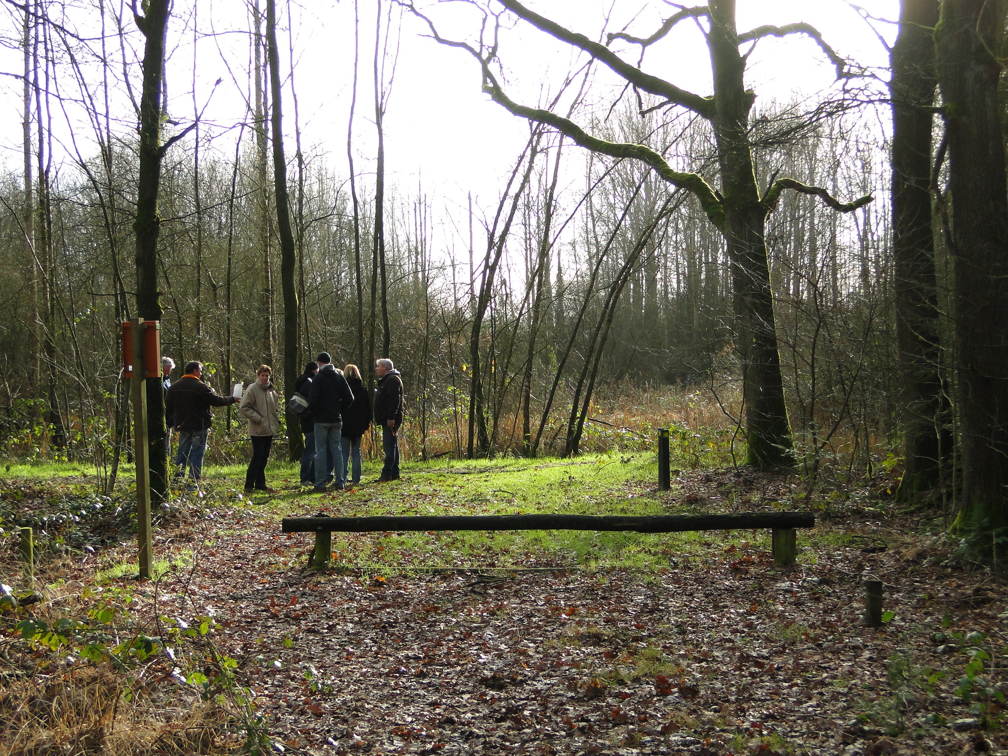 NWK 2012 021.jpg
